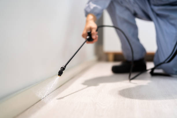 Bed Bug Pre-Treatment Preparation Assessment in Kenedy