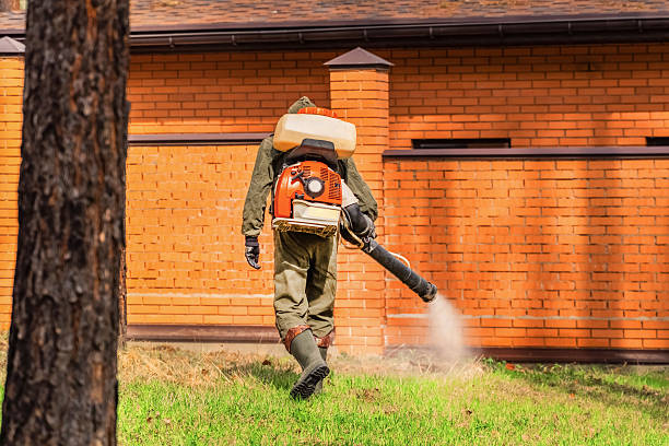 Bed Bug Clearance Verification and Documentation in Kenedy